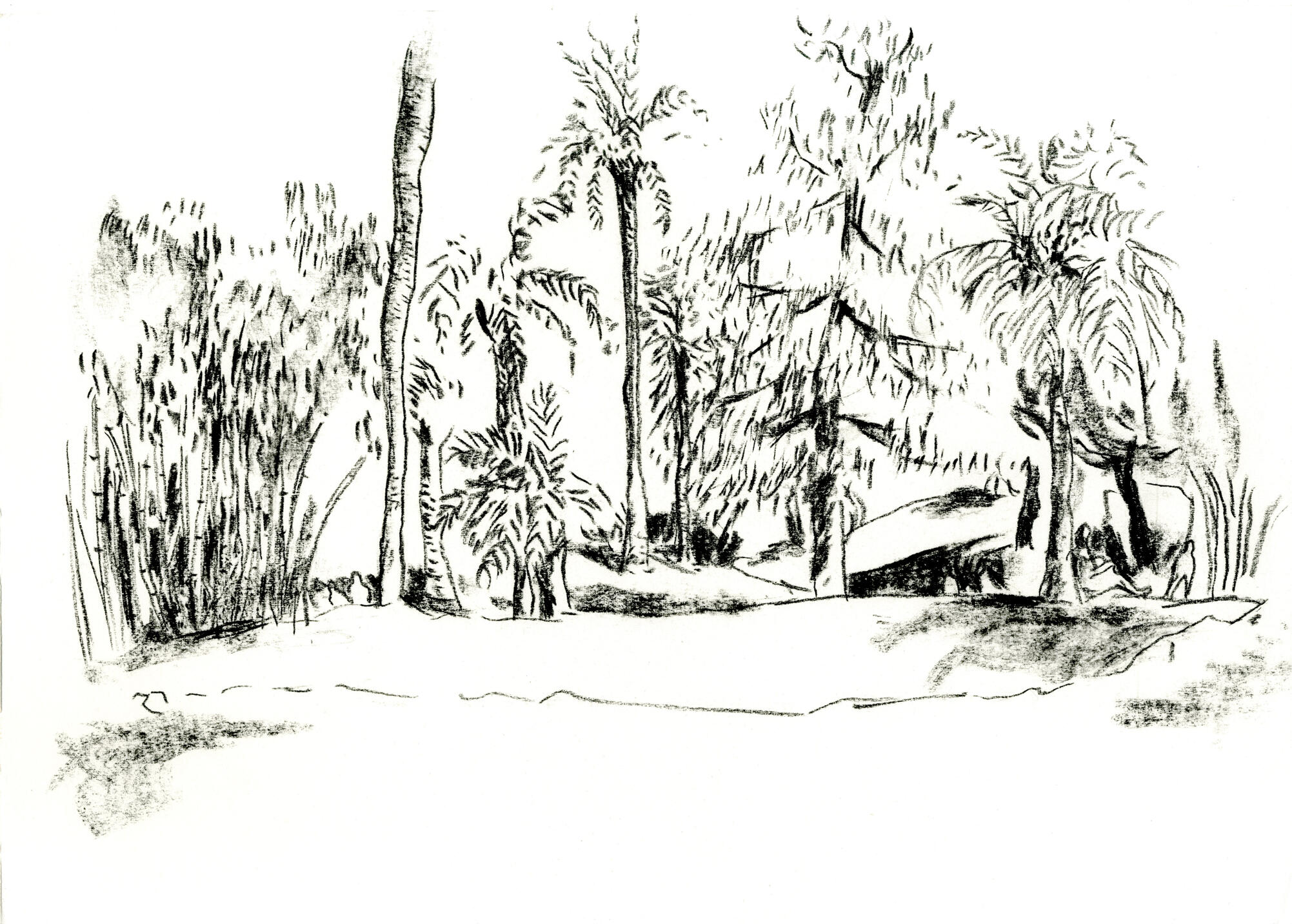 Untitled Untitled